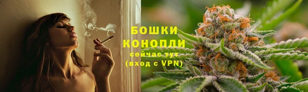 spice Белокуриха