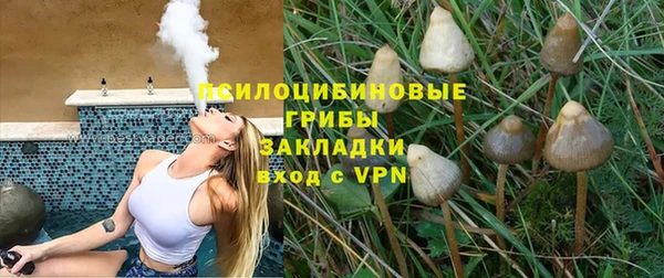 spice Белокуриха